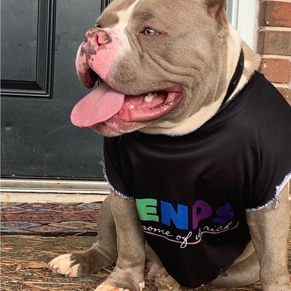 Women’s Bred Inc fiend$ jogger hoodie short set - Picture 6 of 6